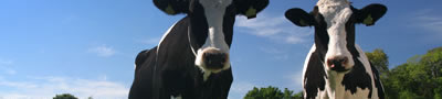attrezzature per agricoltura - associazione Arproma