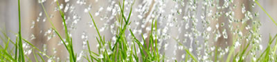 attrezzature agricole - arproma