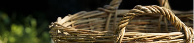 Macchine ed attrezzature agricole - Piemonte