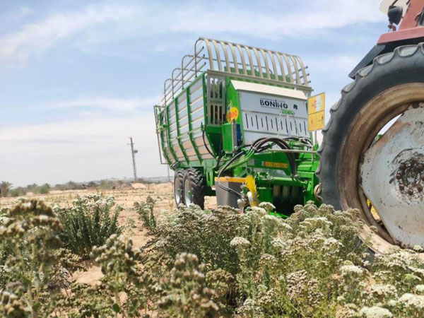 macchine agricole per la raccolta di erbe aromatiche, medicinali ed ortaggi in foglia