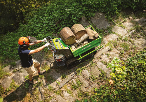 TRASPORTATORI CINGOLATI - Merlo spa